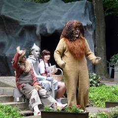 2009 Der Zauberer von Oos